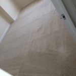 Campbell-Carpet-Clean-room