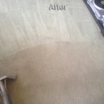 Campbell-Carpet-Cleaning-Company