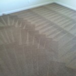 Campbell-Carpet-Cleaning-Wall-To-Wall