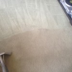 Carpet-Cleaning-Campbell