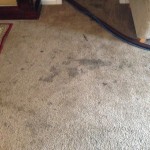 Dirty-Carpet-Campbell-CA
